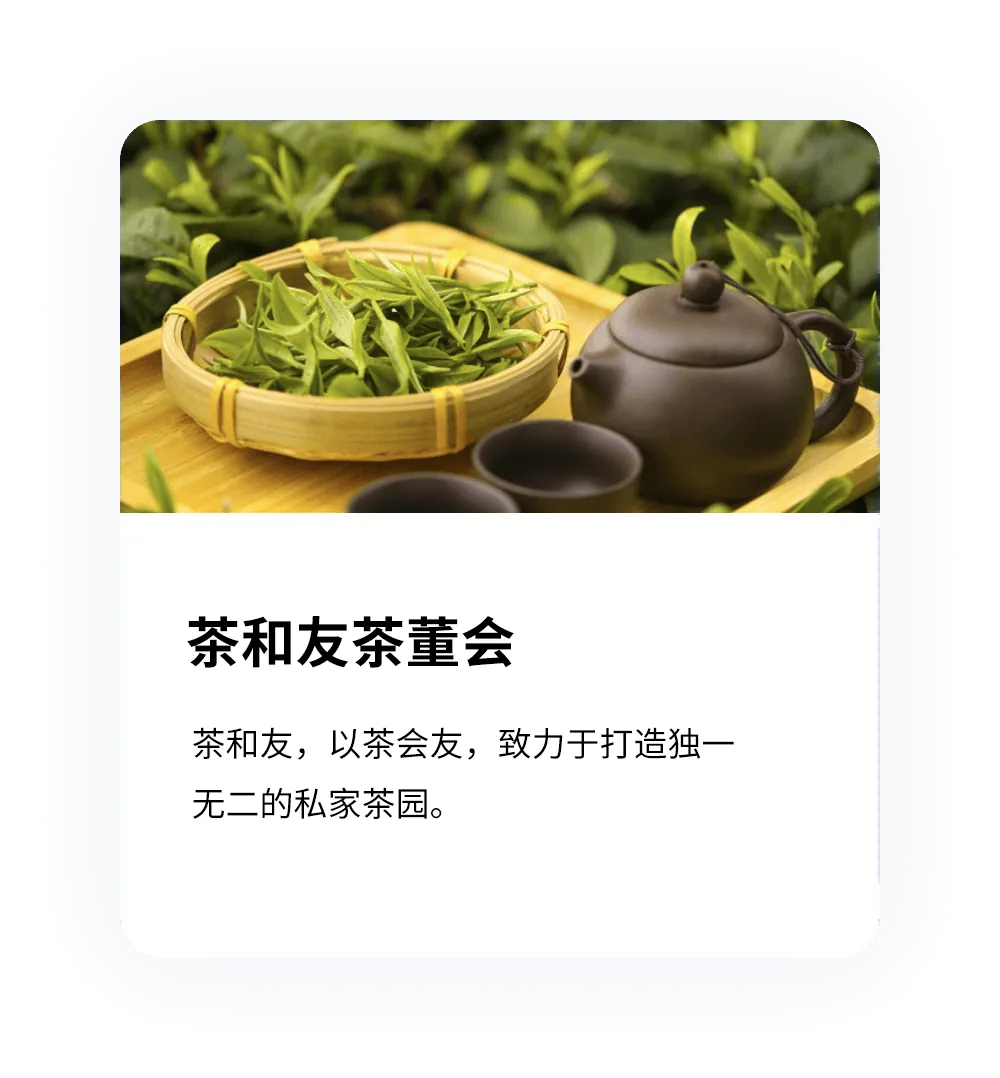 客户案例：茶和友茶董会