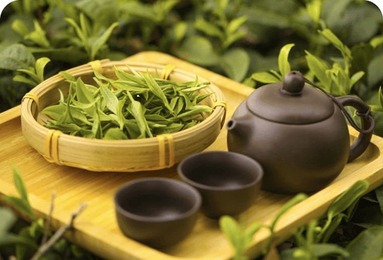 茶和友茶董会